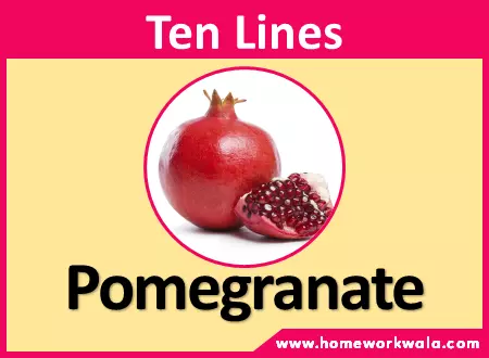 10 lines on Pomegranate in English