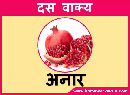 10 lines on Pomegranate in Hindi