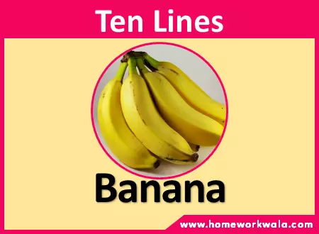 10 lines on Banana in English