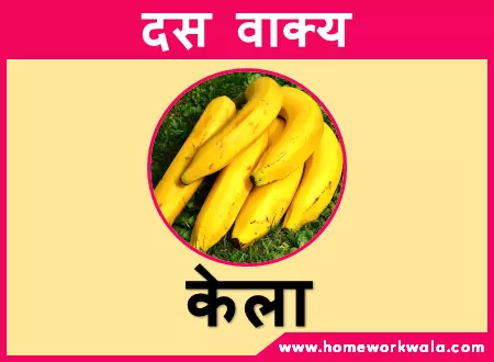 10 lines on Banana in Hindi