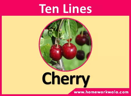 10 lines about Cherry in English