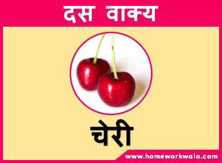 10 lines on Cherry in Hindi