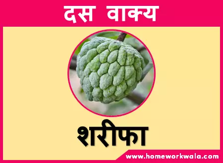 10 lines about Custard Apple in Hindi