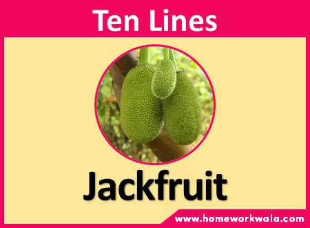 10 lines on Jackfruit in English