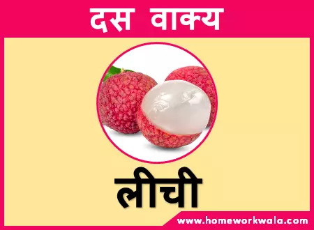 10 lines on Litchi in Hindi