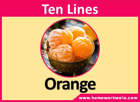 10 lines on orange fruit in English