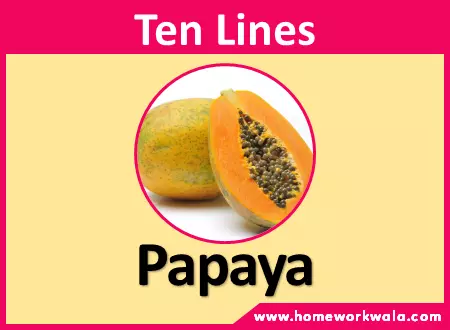 10 lines essay on Papaya in English