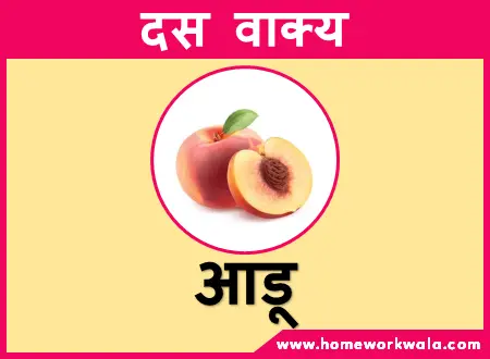 10 lines on Peach in Hindi