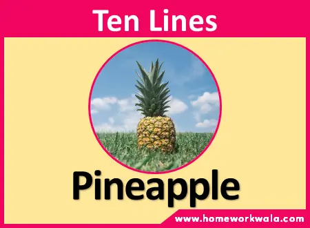10 lines about Pineapple in english