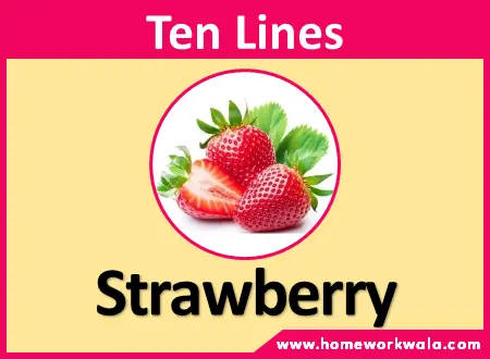 10 lines on Strawberry in English
