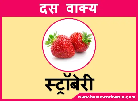 essay on strawberry in hindi language