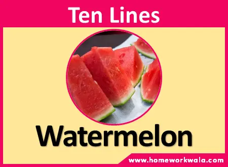 10 lines on Watermelon in english