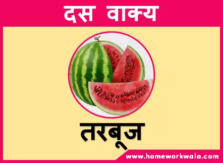watermelon essay in hindi language