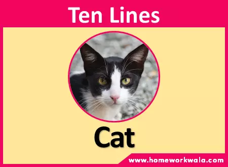 10 lines on Cat in English