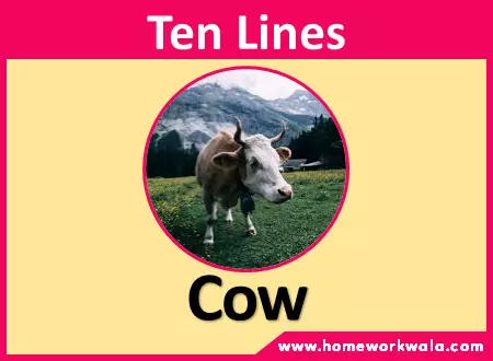 10 lines on Cow in English