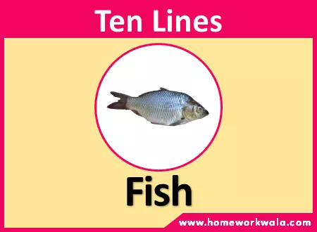 10 lines on Fish in English