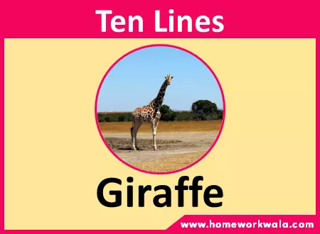 10 lines about Giraffe in English