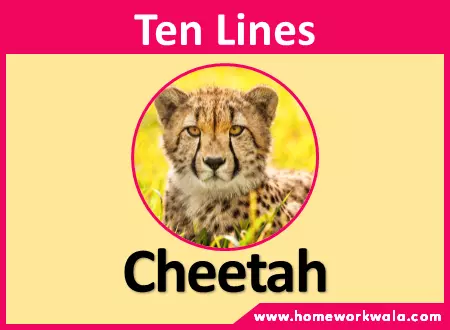 10 lines on Cheetah in English