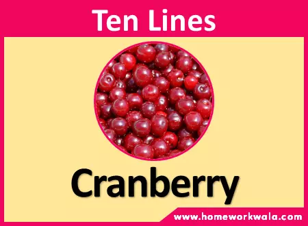 10 lines on Cranberry in English