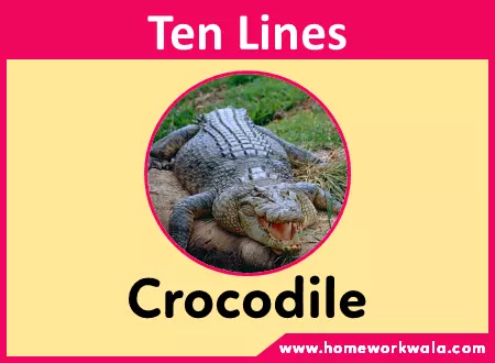 10 lines on Crocodile in English