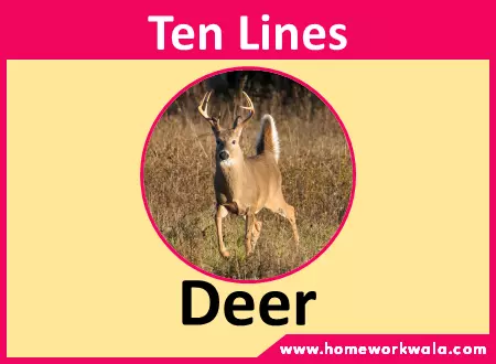 10 lines about Deer in English