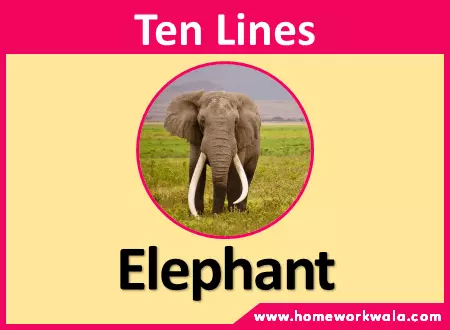 10 lines on Elephant in English