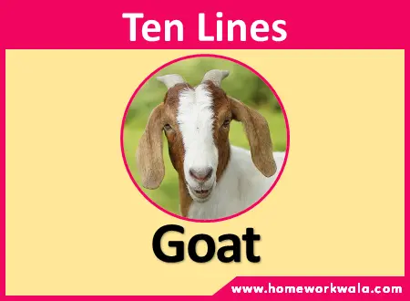 10 lines about Goat in English