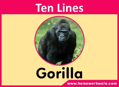 10 lines about Gorilla in English