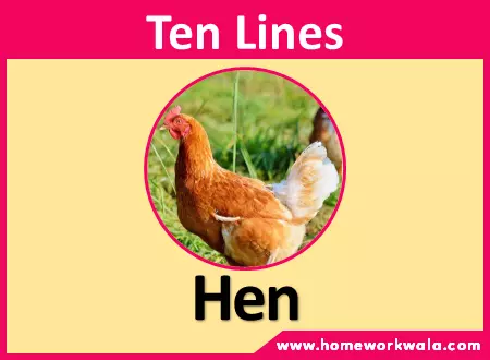 10 lines on Hen in English