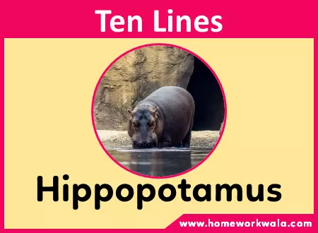 10 lines about Hippopotamus in English