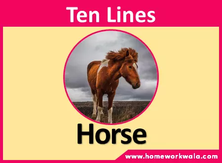 10 lines on Horse in English
