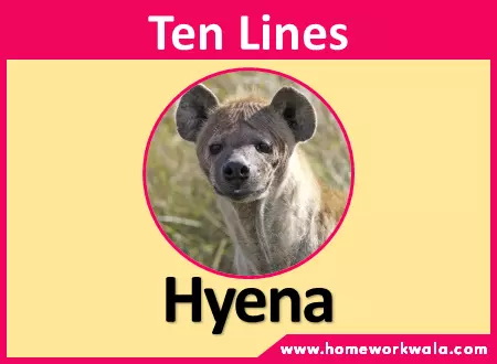 10 lines about Hyena in English