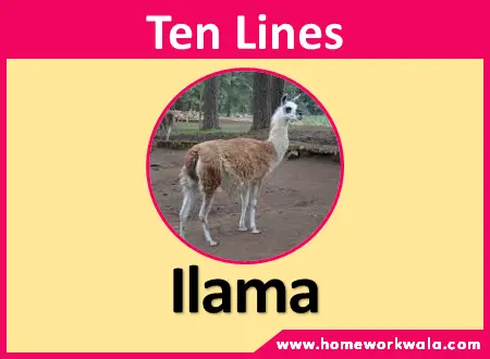 10 lines on Llama in English