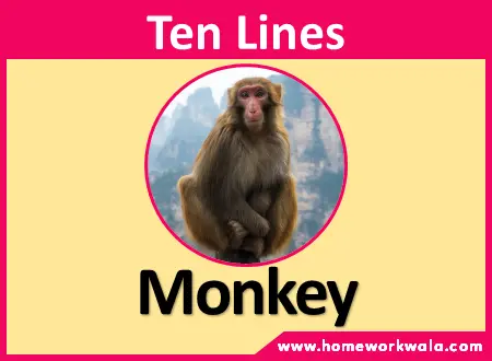 10 lines on Monkey in English