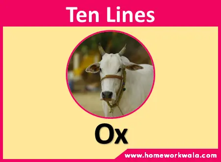 10 lines on Ox in English