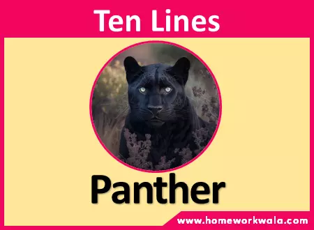 10 lines on Panther in English