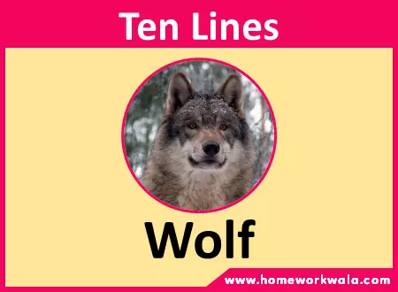 10 lines about Wolf in English