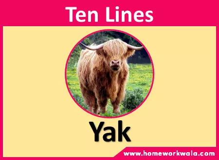 10 lines on Yak in English