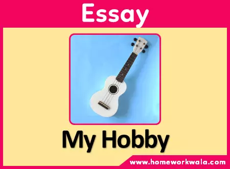 Essay on My Hobby in English