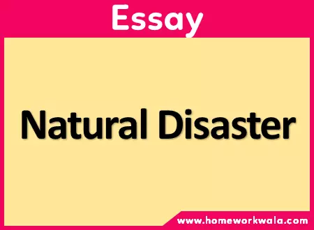 Essay on Natural Disaster