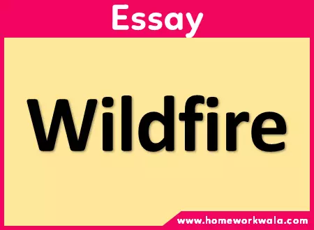 Essay on Wildfire in English