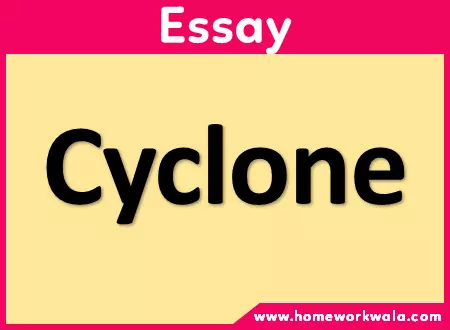 Essay on Cyclone