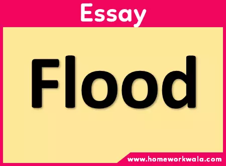 Essay on Flood in English