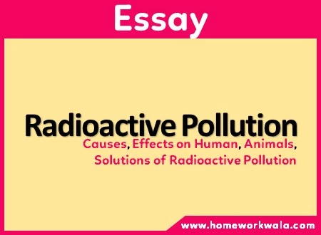 essay on Radioactive pollution