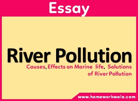 Essay on River Pollution