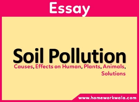Essay on Soil Pollution in English