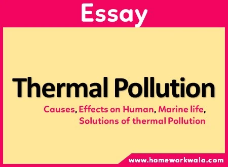 Essay on Thermal Pollution in English