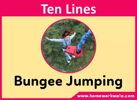 my favourite sport Bungee Jumping