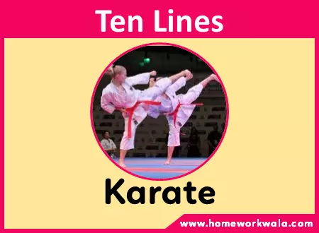my favourite sport karate essay
