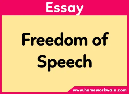 essay on Freedom of speech in English